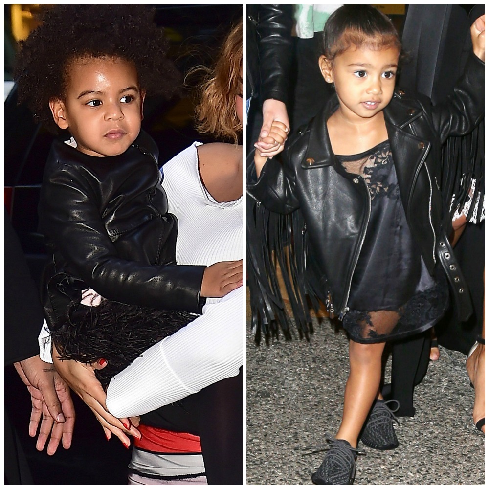 north west blue ivy plant