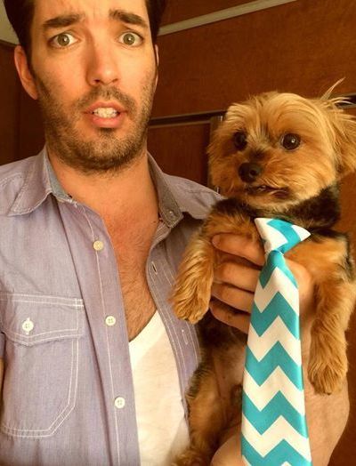 perros de Jonathan Scott