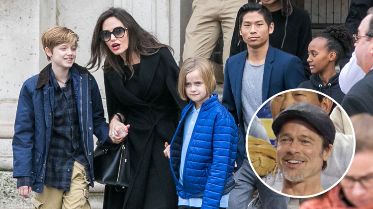 Angelina Jolie 'is determined' to leave Brad Pitt without custody