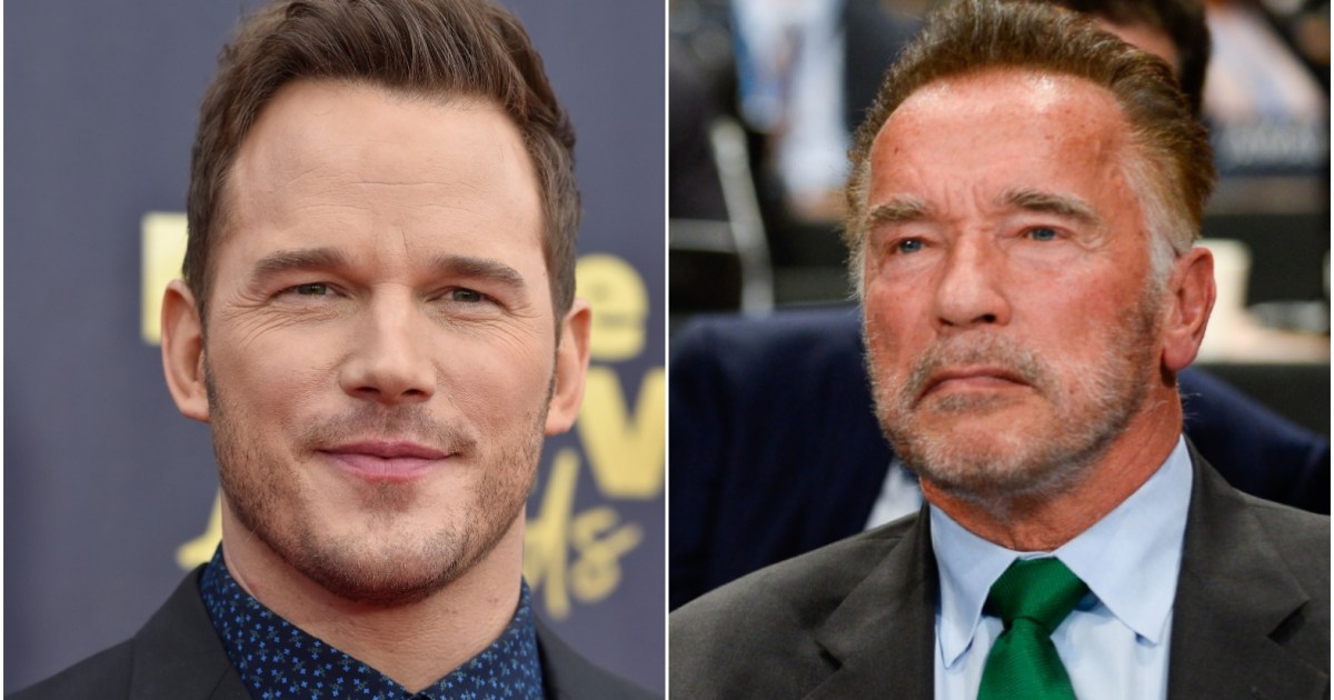 Arnold Schwarzenegger And Chris Pratt Shared Special Moment In 2015