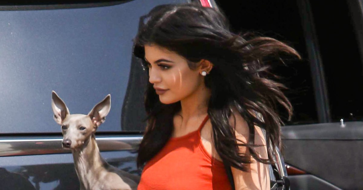 Kylie Jenner Combats Rumors About What 'Happened' to Dog Norman