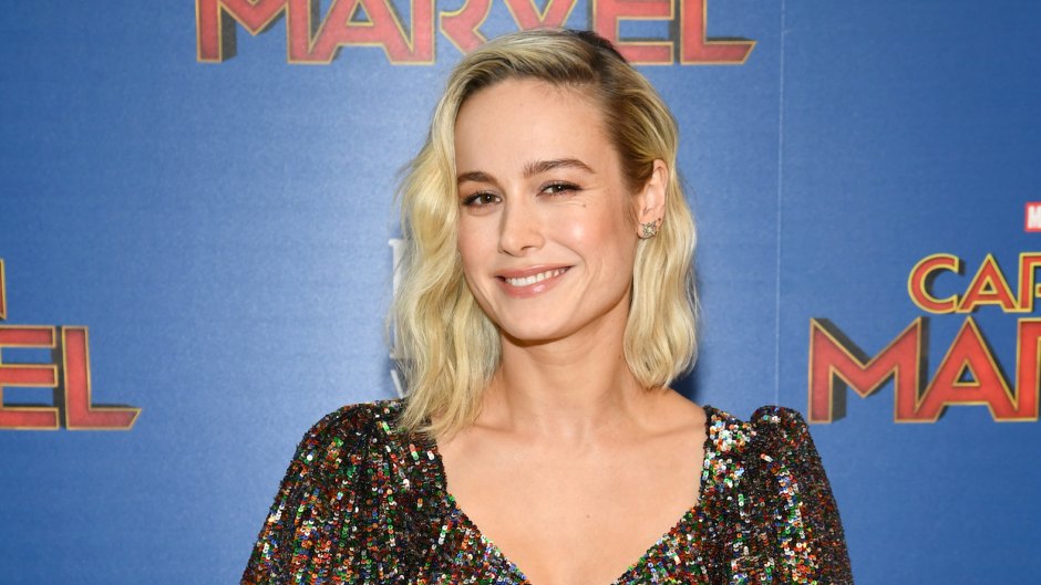 What Was Actress Brie Larson in Before 'Captain Marvel'?