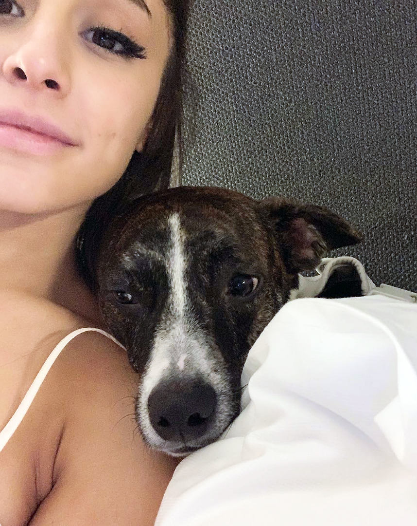 Ariana Grande Dog Porn - Celebrity Dog Moms: Miley Cyrus and More Stars Who Own Pets