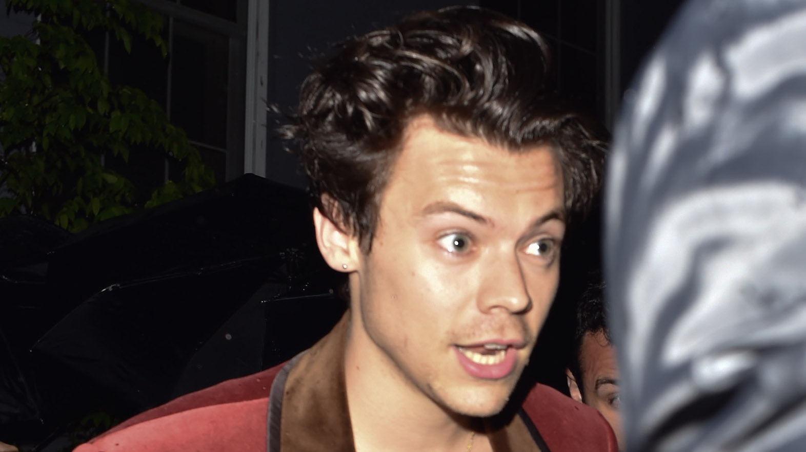 1572px x 883px - Harry Styles Pierced His Ear Before the Met Gala â€” See Photos