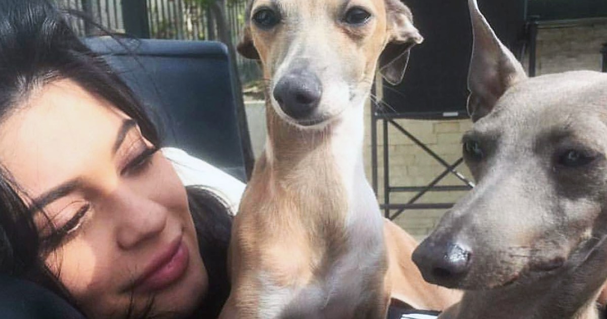 What Kind of Dogs Does Kylie Jenner Have? Meet Her Italian Greyhounds