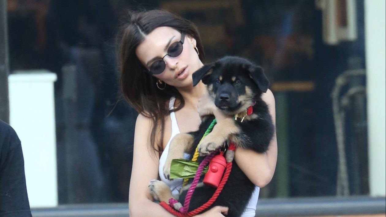 Emily Ratajkowski Rocks a Crop Top While Walking Her Dog