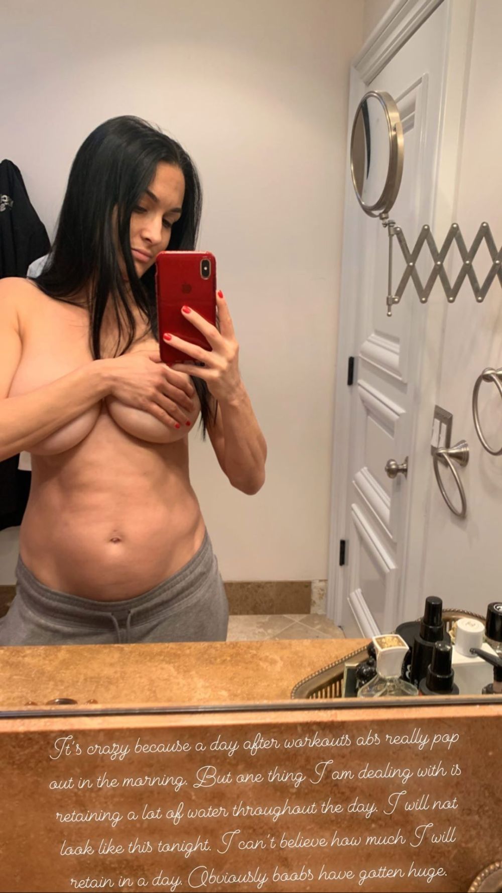 Pregnant Nikki Bella Topless