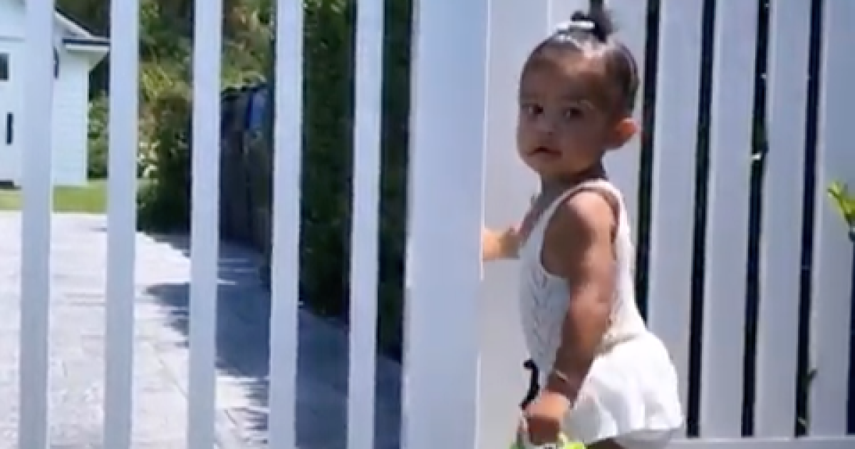 Stormi Webster Enjoys Playtime With Kylie Jenner's Dogs: Watch!