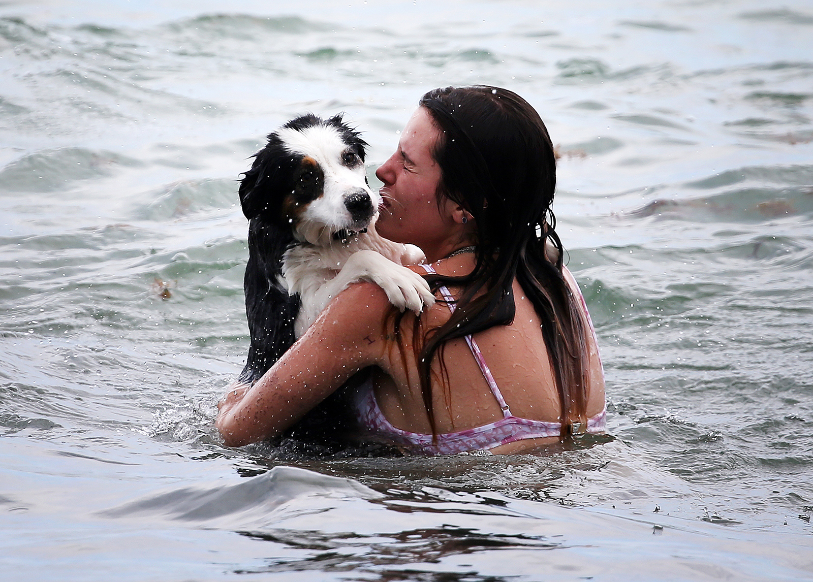 Bella Thorne ʙικιɴι Miami Beach Day Pup