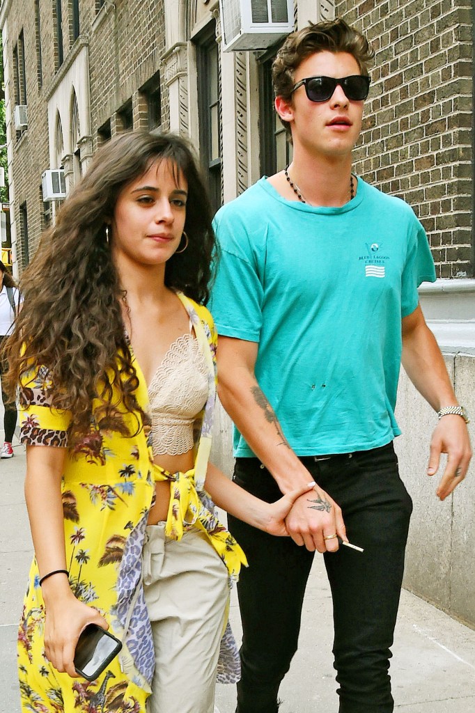 Camila Cabello Wants 'to Protect' Her Relationship With ...