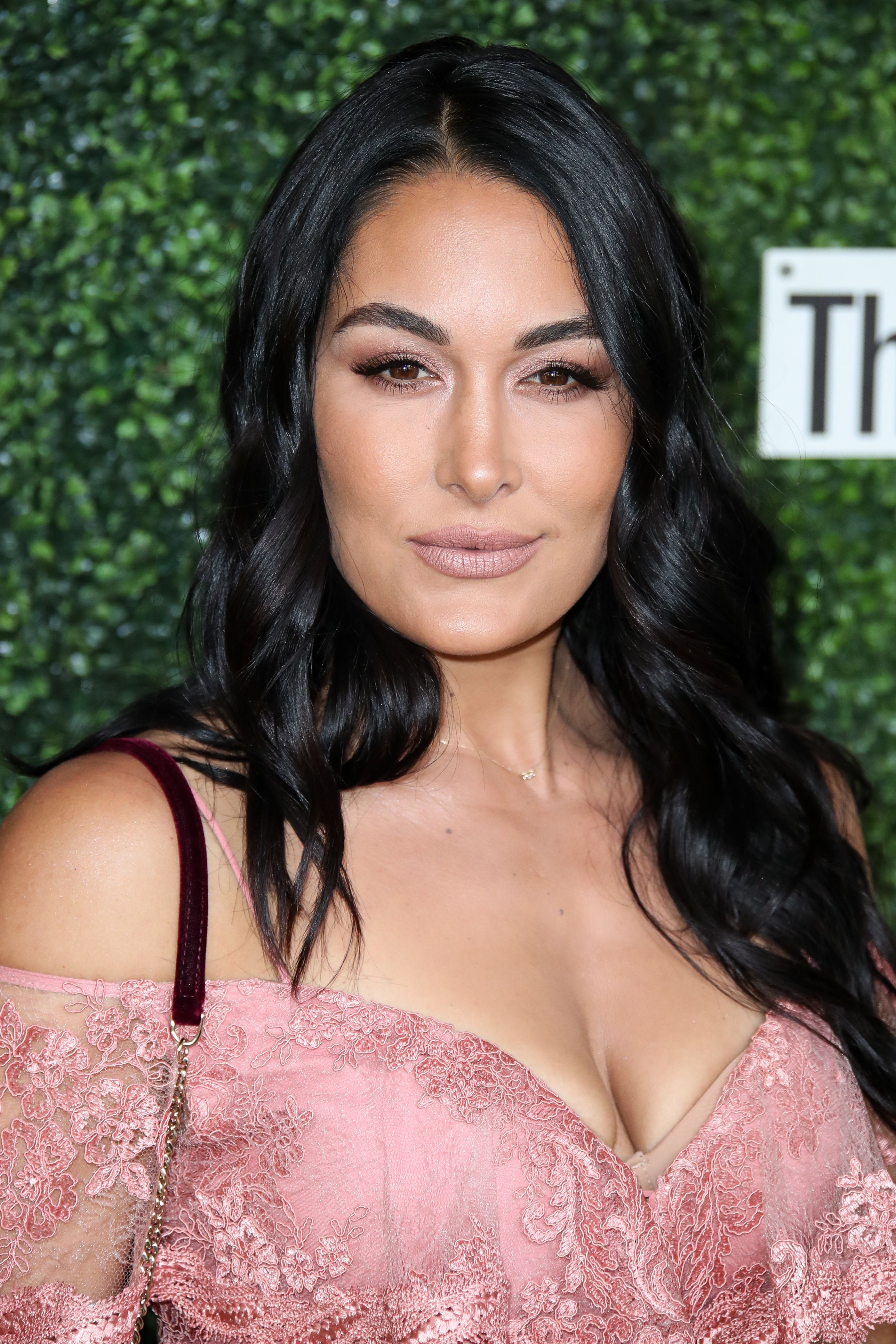 Brie and Nikki Bella model mini dresses for the 2019 Couture Council Award  Luncheon in New York City