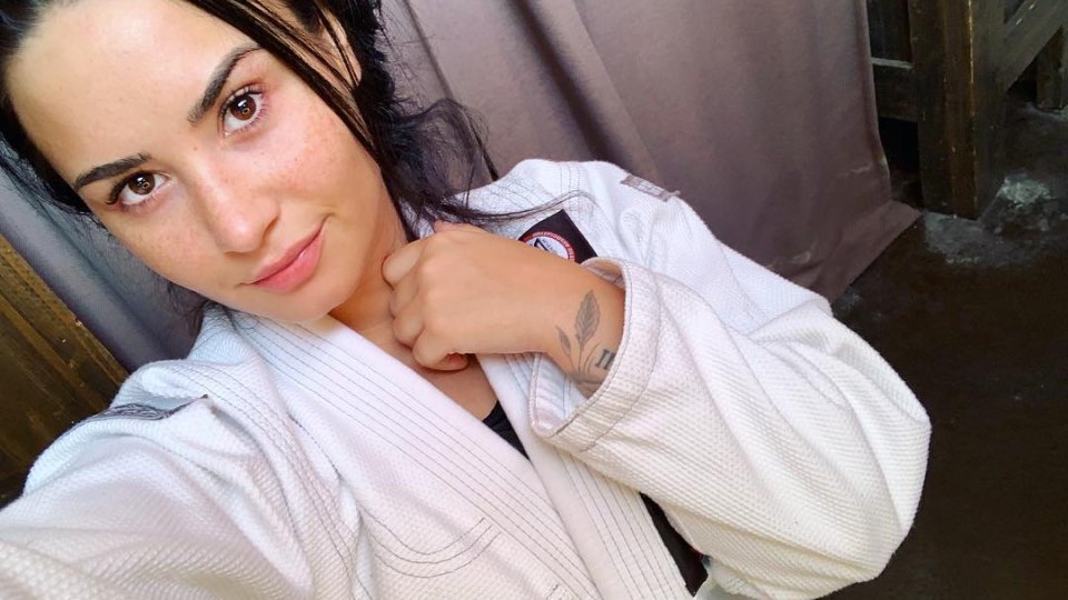 960px x 540px - Demi Lovato Gives Tour of Her Parents' Blue Kitchen in L.A.: Photo