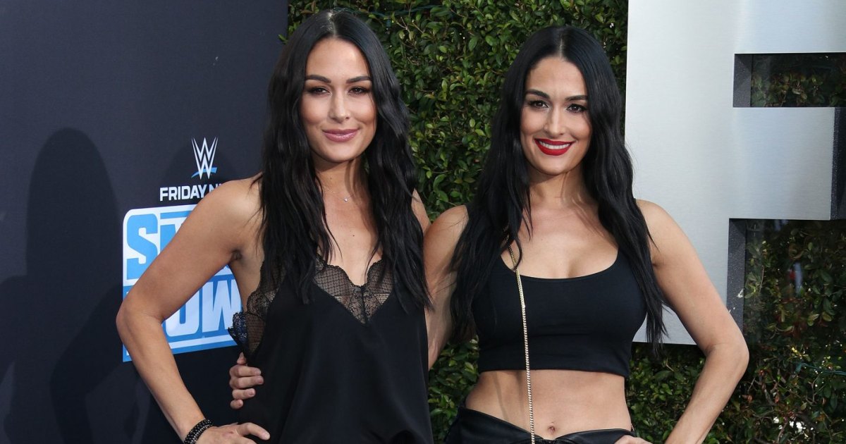 Nicki Bella Sexy Teen Xxxvideo - Nikki Bella Flaunts Toned Abs With Twin Sister Brie at WWE Anniversary
