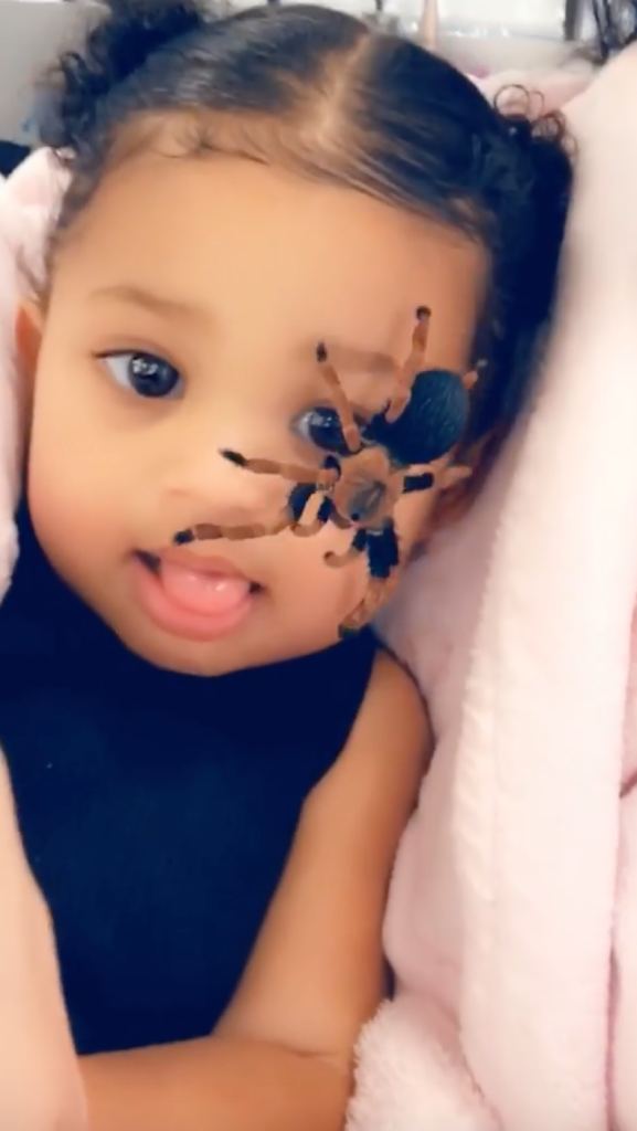 Kylie Jenner's Daughter Stormi Doesn't Flinch at Spider ...