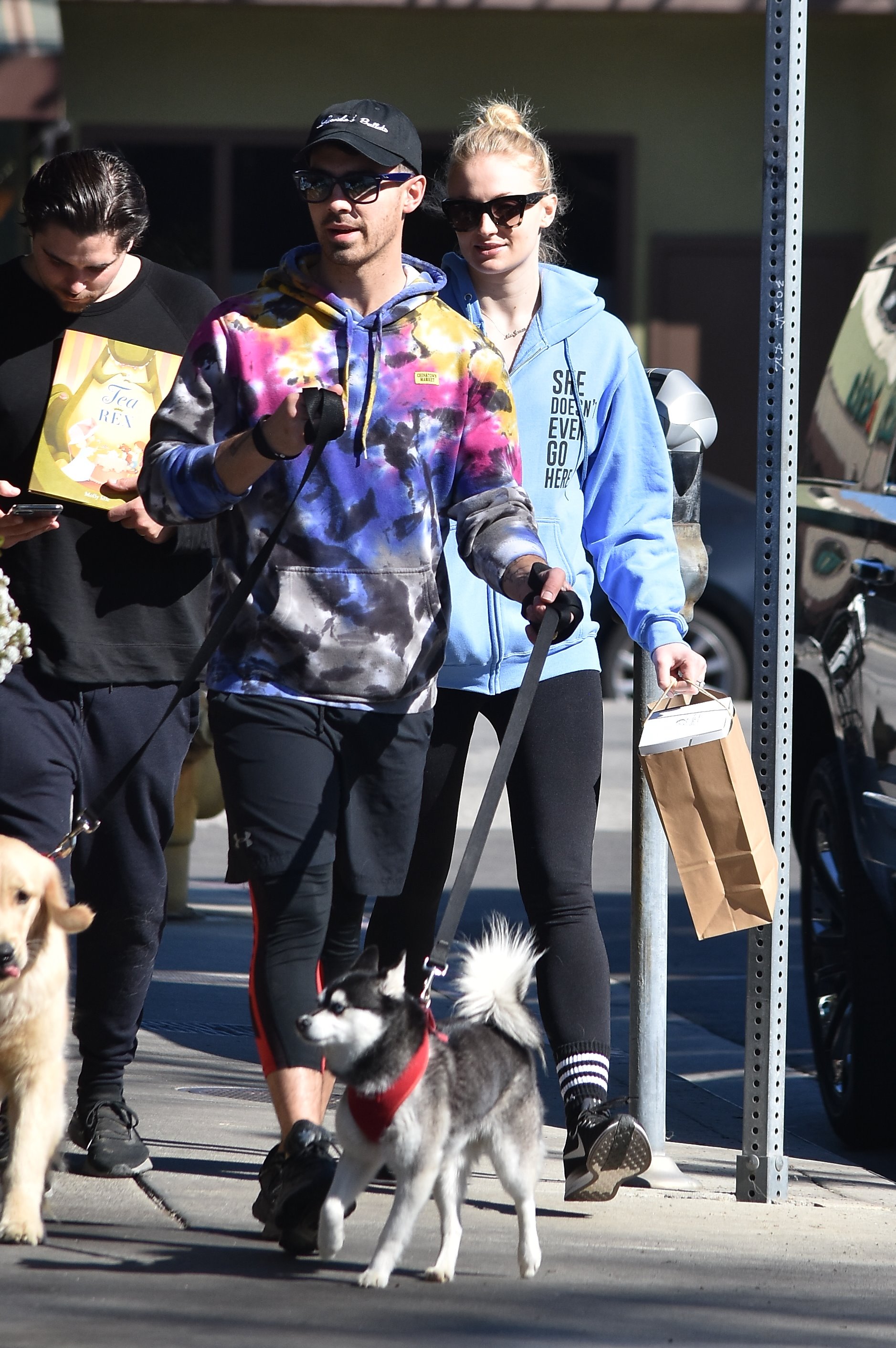 Joe Jonas & Sophie Turner Get Some Fresh Air While Walking Their Dogs:  Photo 1292684, Joe Jonas, Pregnant Celebrities, Sophie Turner Pictures