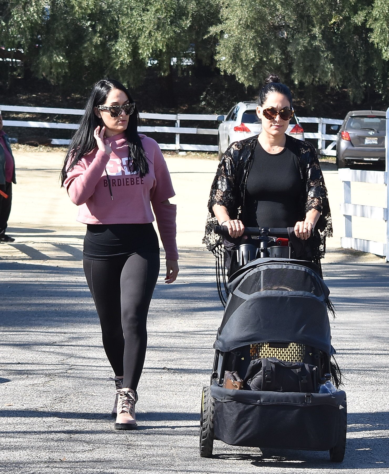 Pregnant Nikki Bella sanitizes her shopping cart at the grocery
