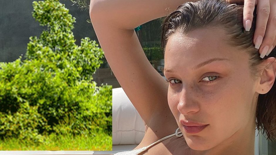 Bella Hadid Flaunts Her Toned Abs in Rare Gym Selfie: Photo