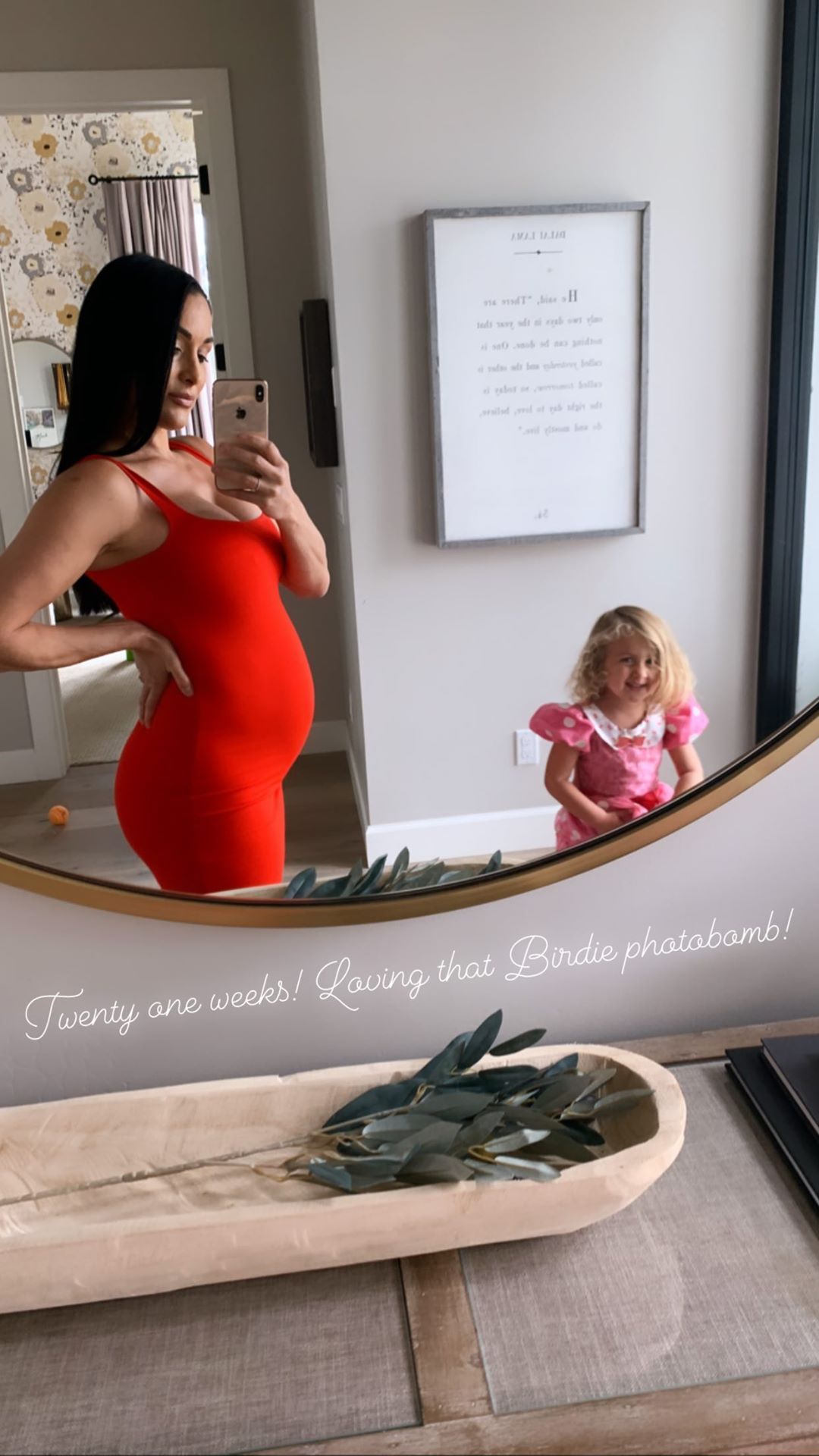 Nikki Bella and Brie Bella Show Off Baby Bumps During Lunch