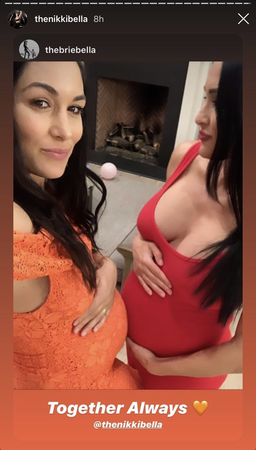 Nikki & Brie Bella Reveal Their 'Biggest' Pregnancy Craving: Photo 4442792, Brie Bella, Nikki Bella, Pregnant Celebrities Photos