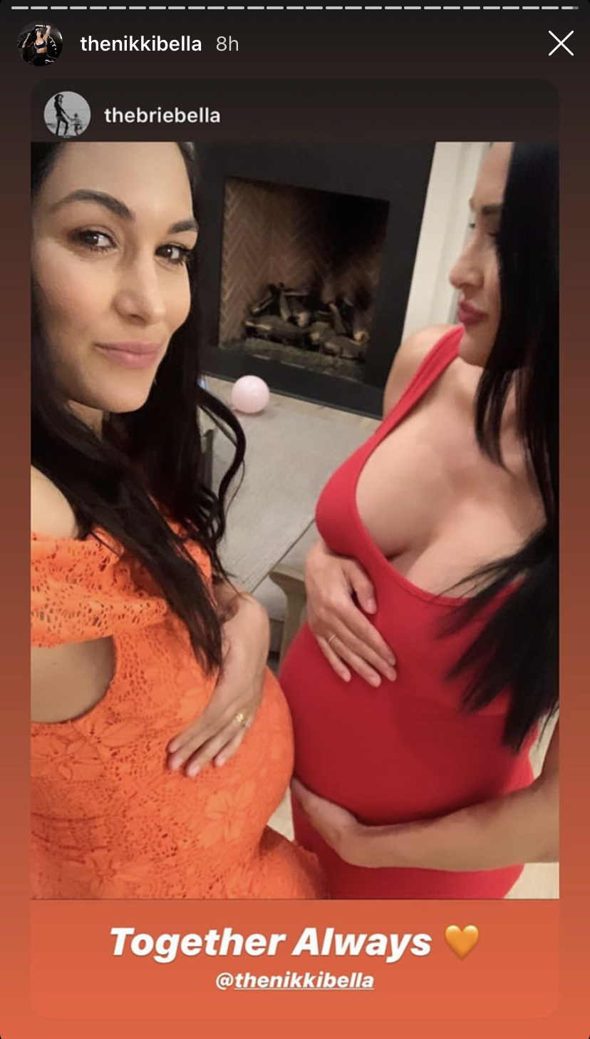 Nikki & Brie Bella Reveal Their 'Biggest' Pregnancy Craving: Photo 4442796, Brie Bella, Nikki Bella, Pregnant Celebrities Photos