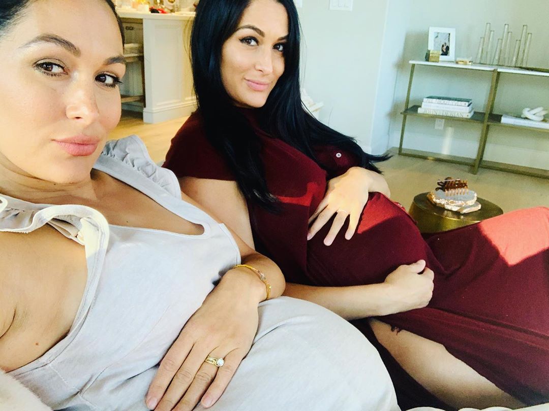 Niki Bella Sex Video - Nikki and Brie Bella's Baby Bumps: See Sweet Pregnancy Photos