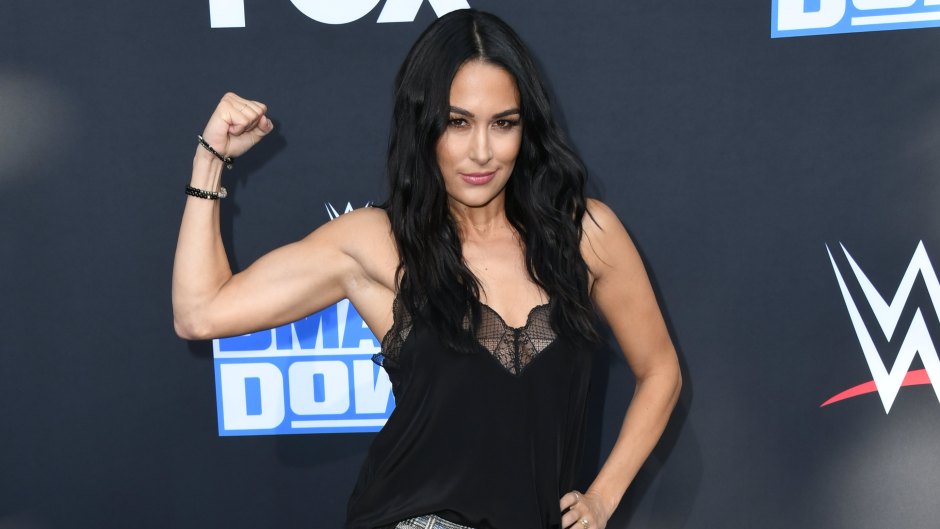 Brie Bella Net Worth How Does the 'Total Bellas' Star Make Her Money?