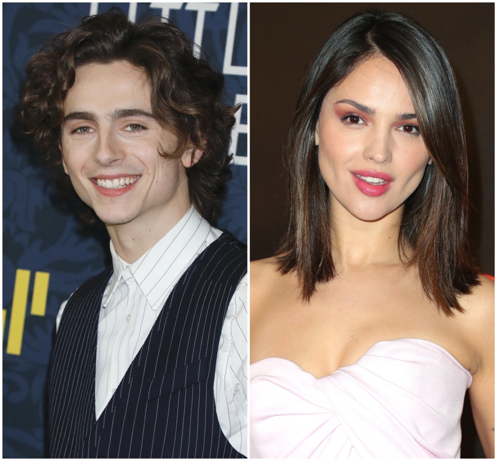 Who Has Timothee Chalamet Dated? Lily-Rose Depp and Eiza ...