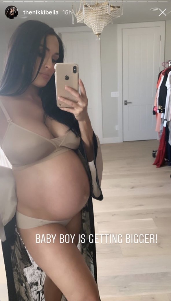 Nikki Bella shows off her baby bump and more star snaps