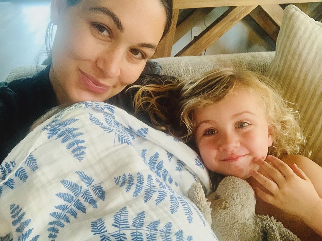 How Many Children Does Brie Bella Have? Get to Know Them!