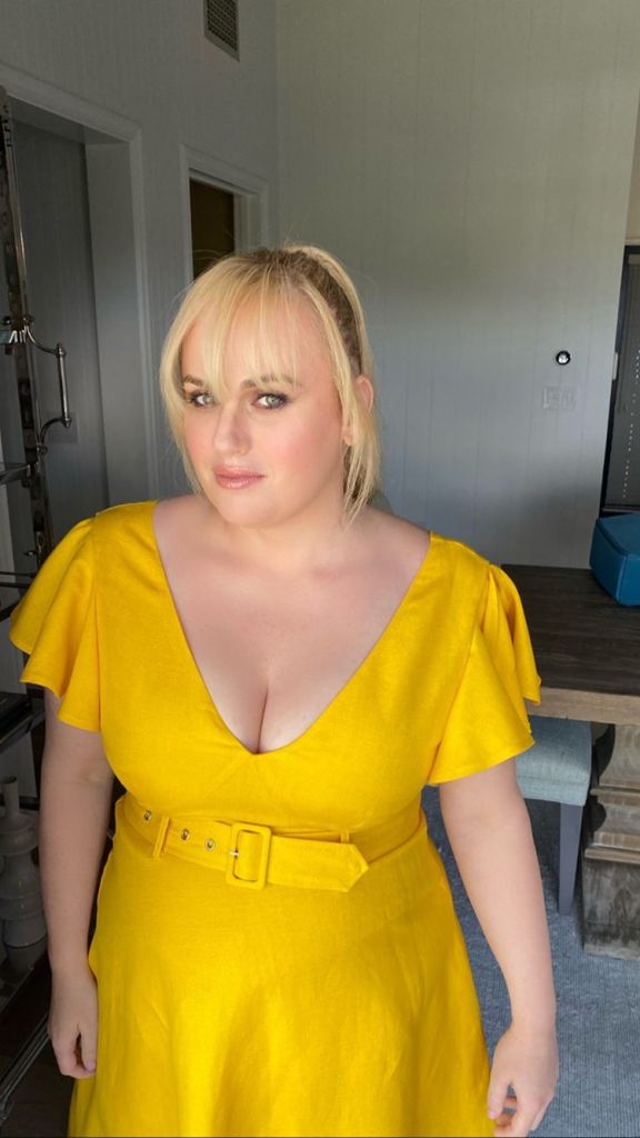 Rebel Wilson Flaunts Weight Loss and Tiny Waist in Yellow ...