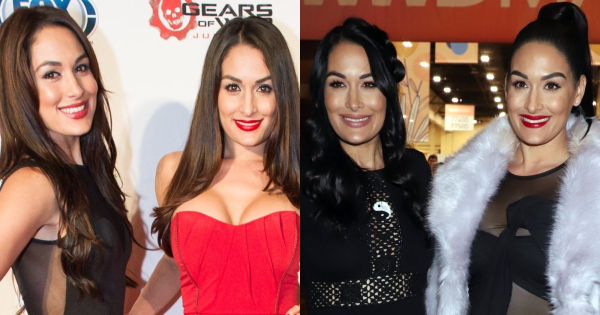 1200px x 630px - Nikki and Brie Bella Transformation: Bella Twins Through the Years | Life &  Style