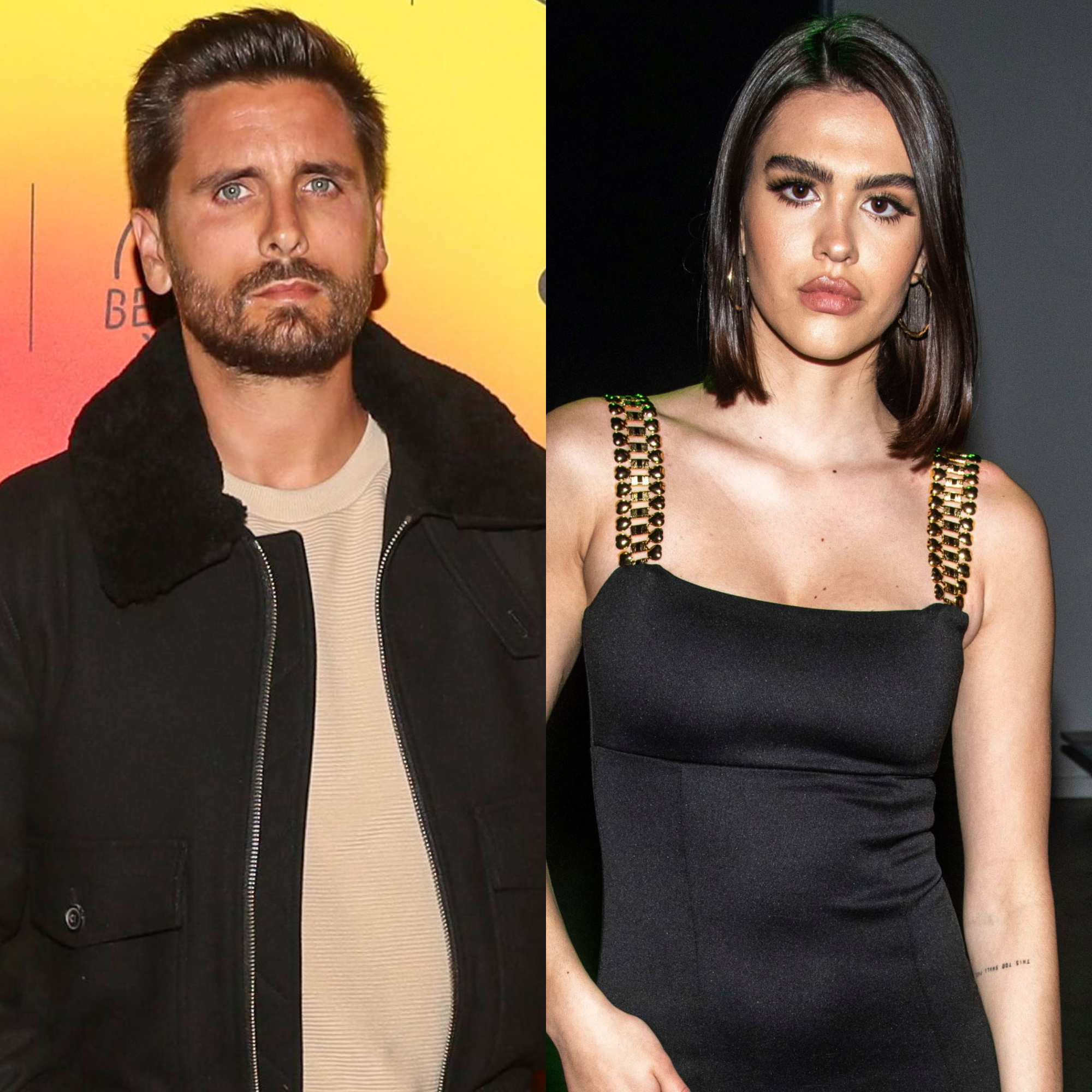 Scott Disick And Amelia Gray Hamlins Relationship Timeline