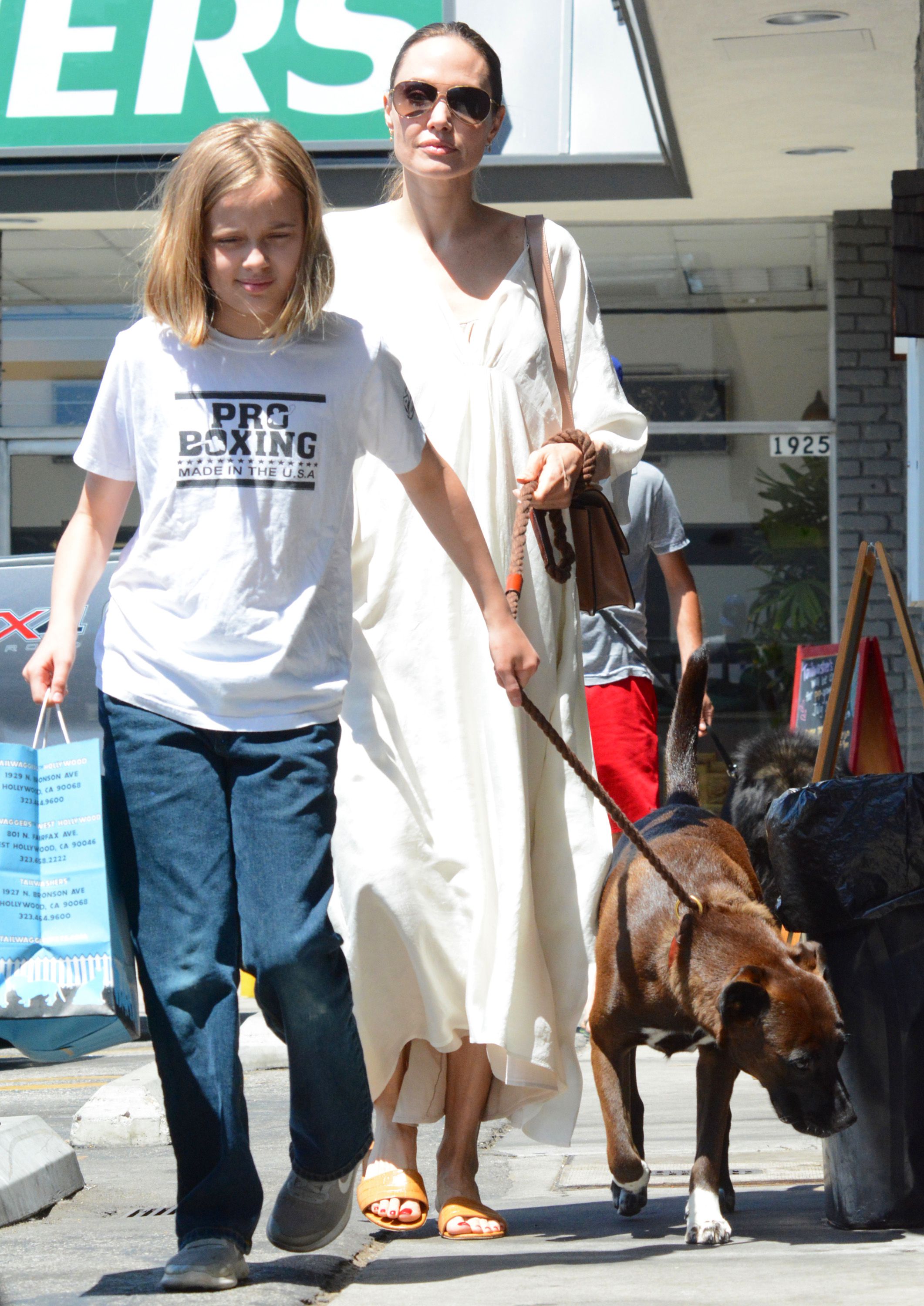 Angelina Jolie and Brad Pitt's Twins Knox and Vivienne Today