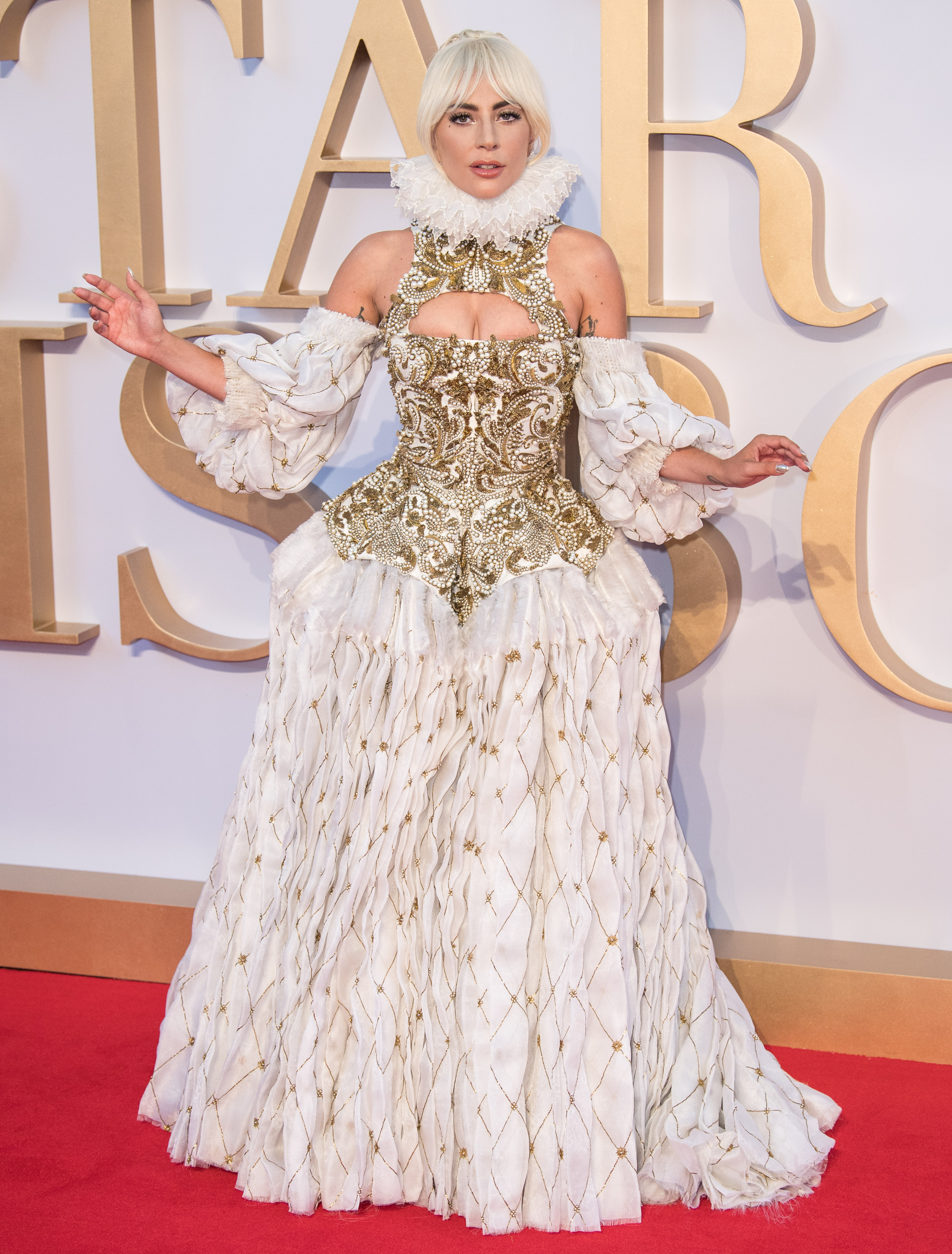 Grammys 2019: Lady Gaga Red Carpet Dress Photos
