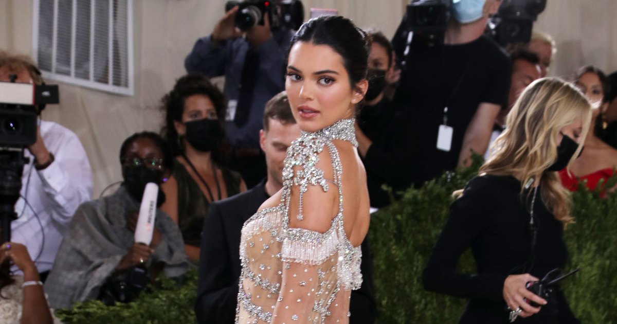 Kendall Jenner Poses Braless in New Selfies: See Photos