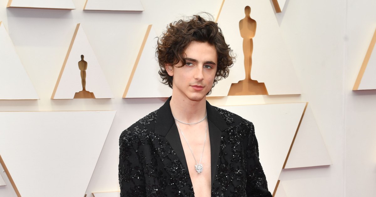 Timothée Chalamet Went Shirtless on the Oscars 2022 Red Carpet—See Pics