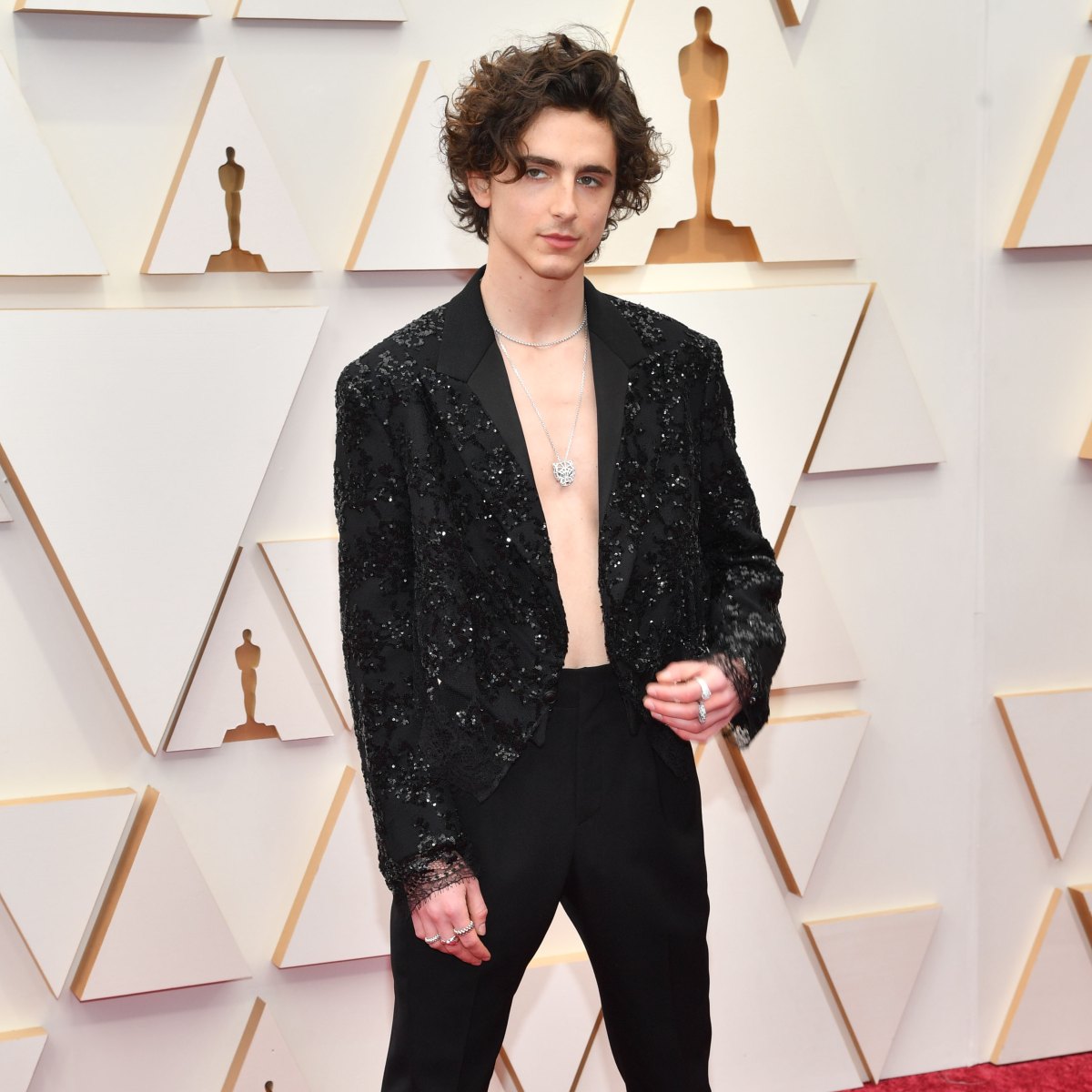 Timothée Chalamet Rocks Shimmering Shirtless Look at 2022 Oscars