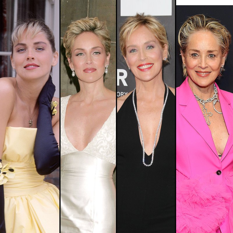 Has Sharon Stone Had Plastic Surgery? Transformation Photos