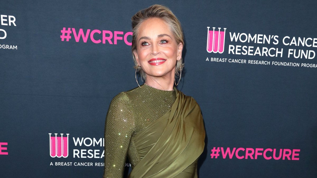 Sharon Stone Net Worth How Much Money Actress Makes