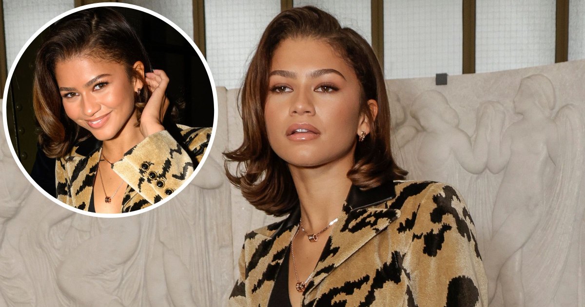 Zendaya Wore the Trippiest Plunging Matching Set to the Louis Vuitton  Fashion Show