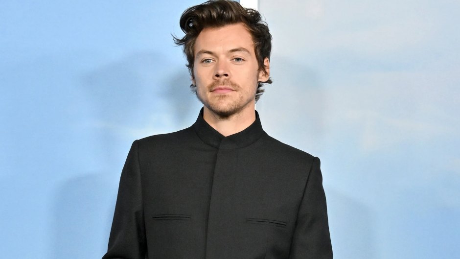 Harry Styles Focused on Music After DWD Experience