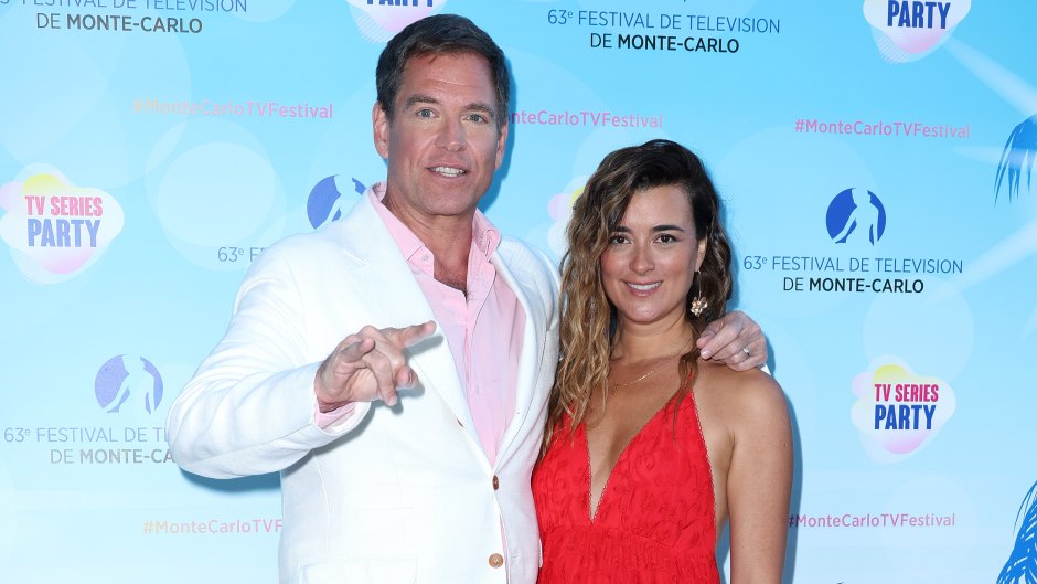Michael Weatherly’s NCIS Spinoff Sparks 'Job Security' Fears