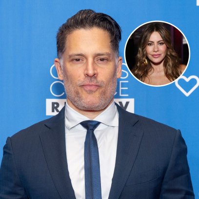 Joe Manganiello Denies Kids Caused Sofia Vergara Divorce